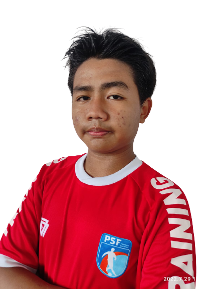 M. Insan Arsyafin H.